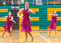 Shelley High School
