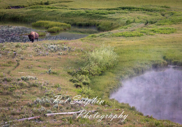 Yellowstone 017